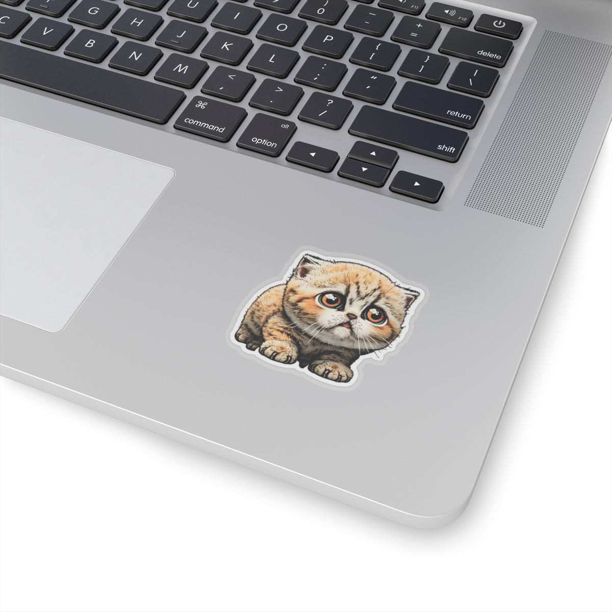 Kiss-Cut Sticker of cute funny cat kitten for your collection