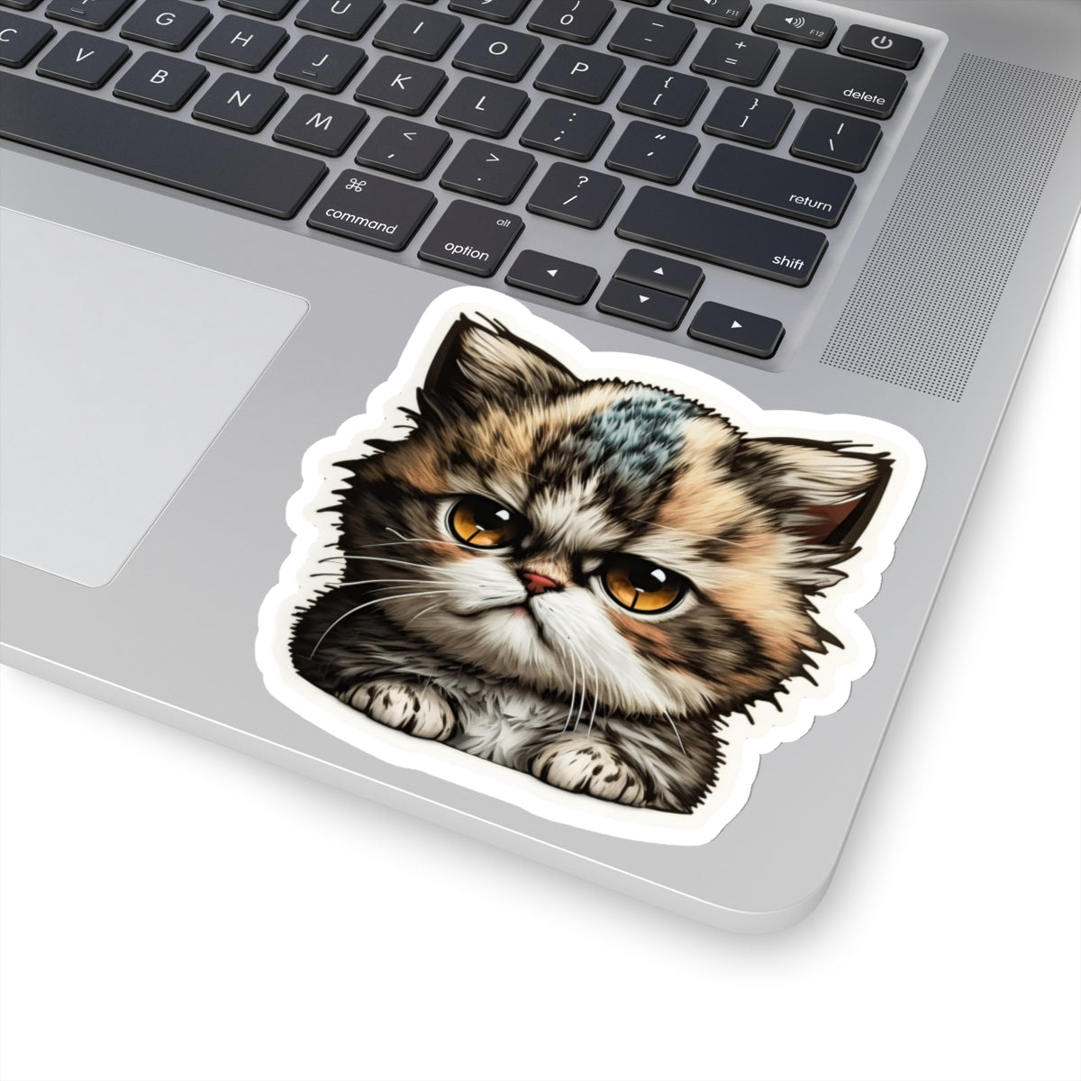 Kiss-Cut Sticker of cute funny grumpy cat kitten for your collection