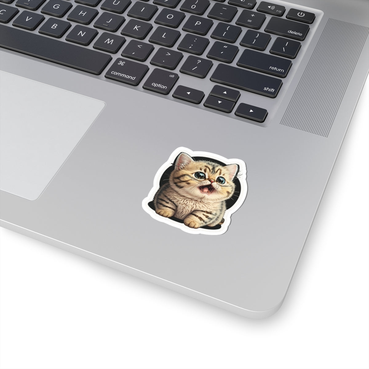 Kiss-Cut Sticker of cute funny burmilla cat kitten for your collection