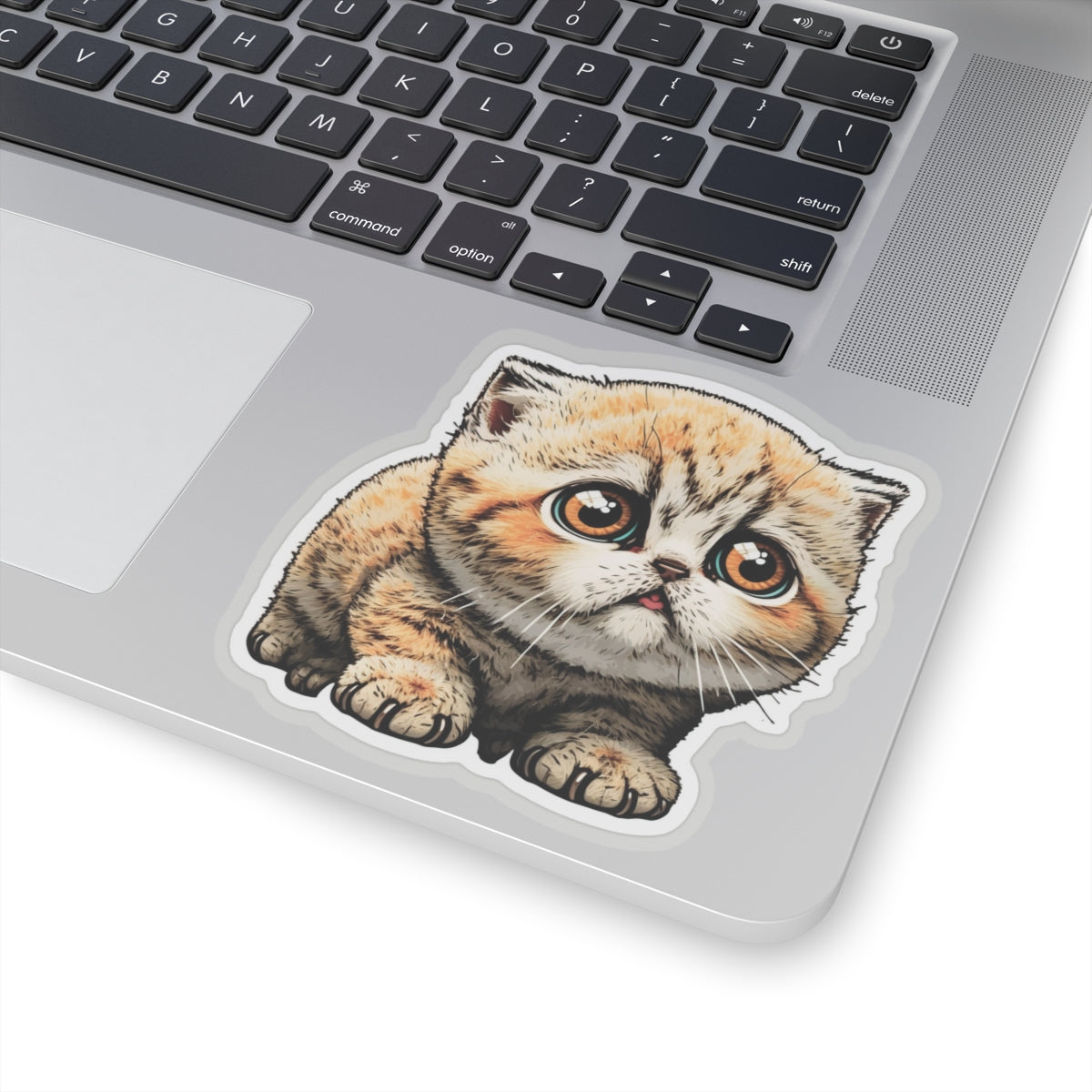 Kiss-Cut Sticker of cute funny cat kitten for your collection