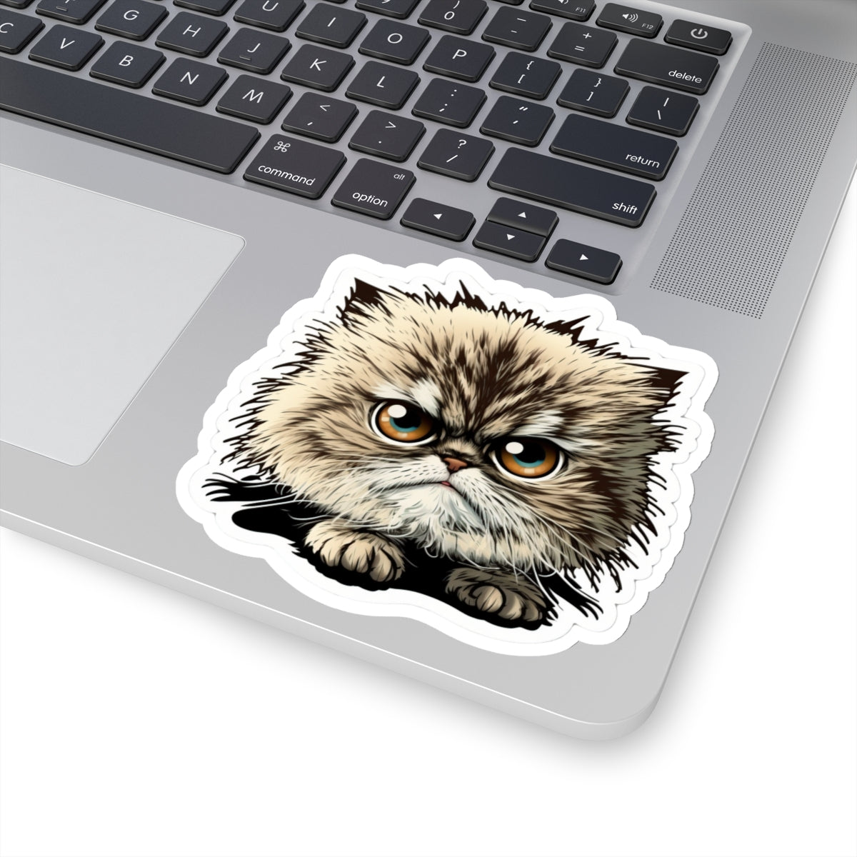 Kiss-Cut Sticker of cute funny cat kitten  for your collection