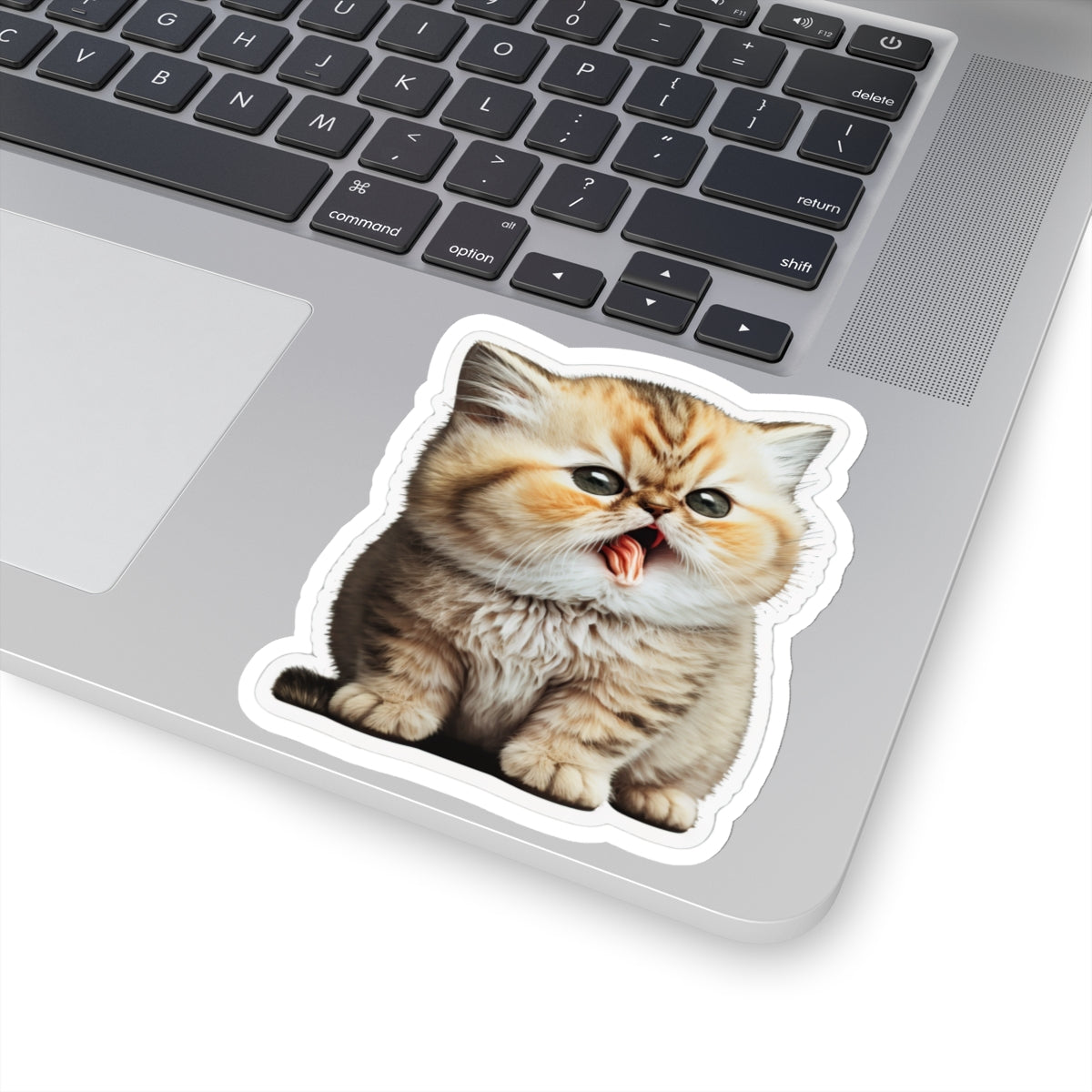 Kiss-Cut Sticker of cute funny golden chinchilla cat kitten for your collection
