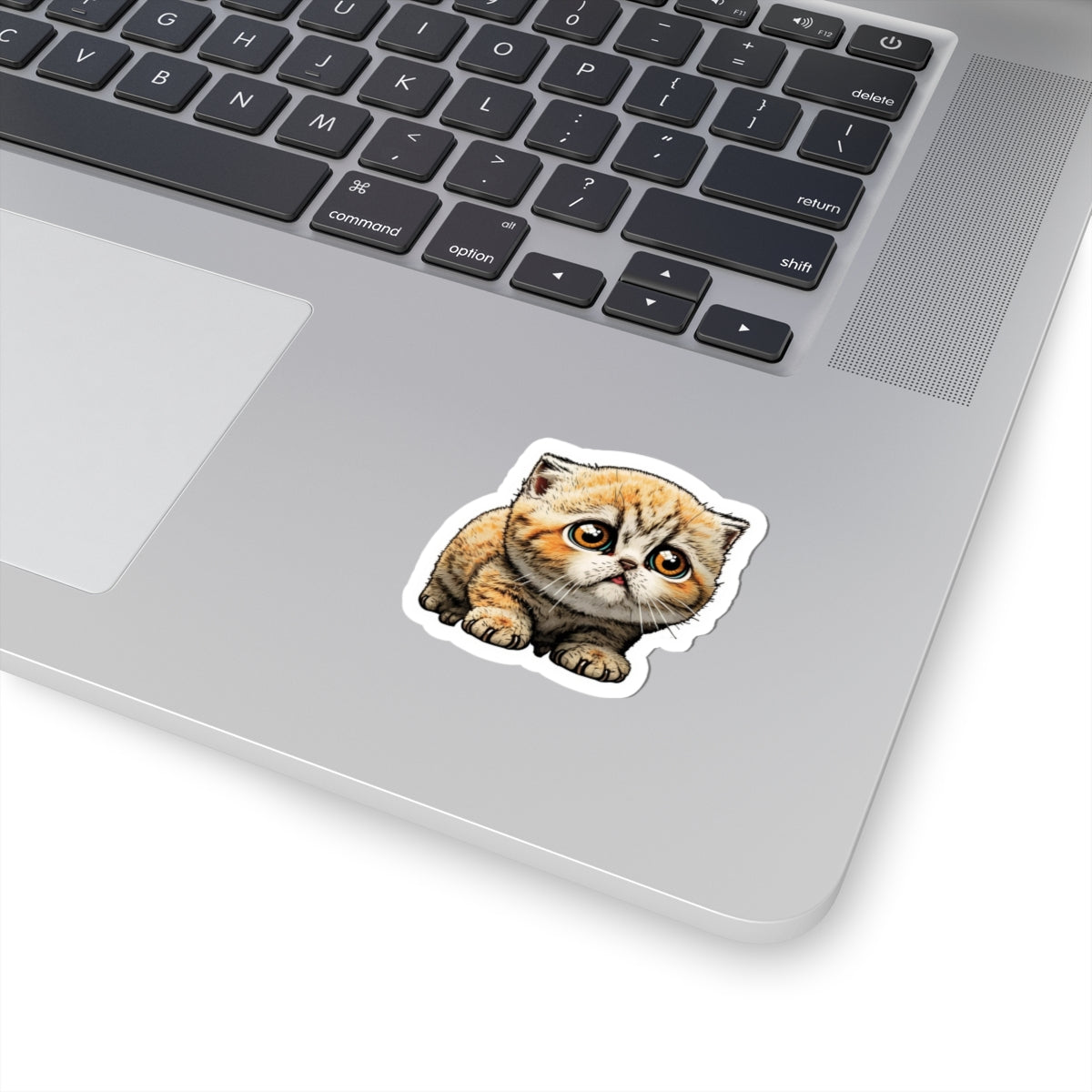 Kiss-Cut Sticker of cute funny cat kitten for your collection