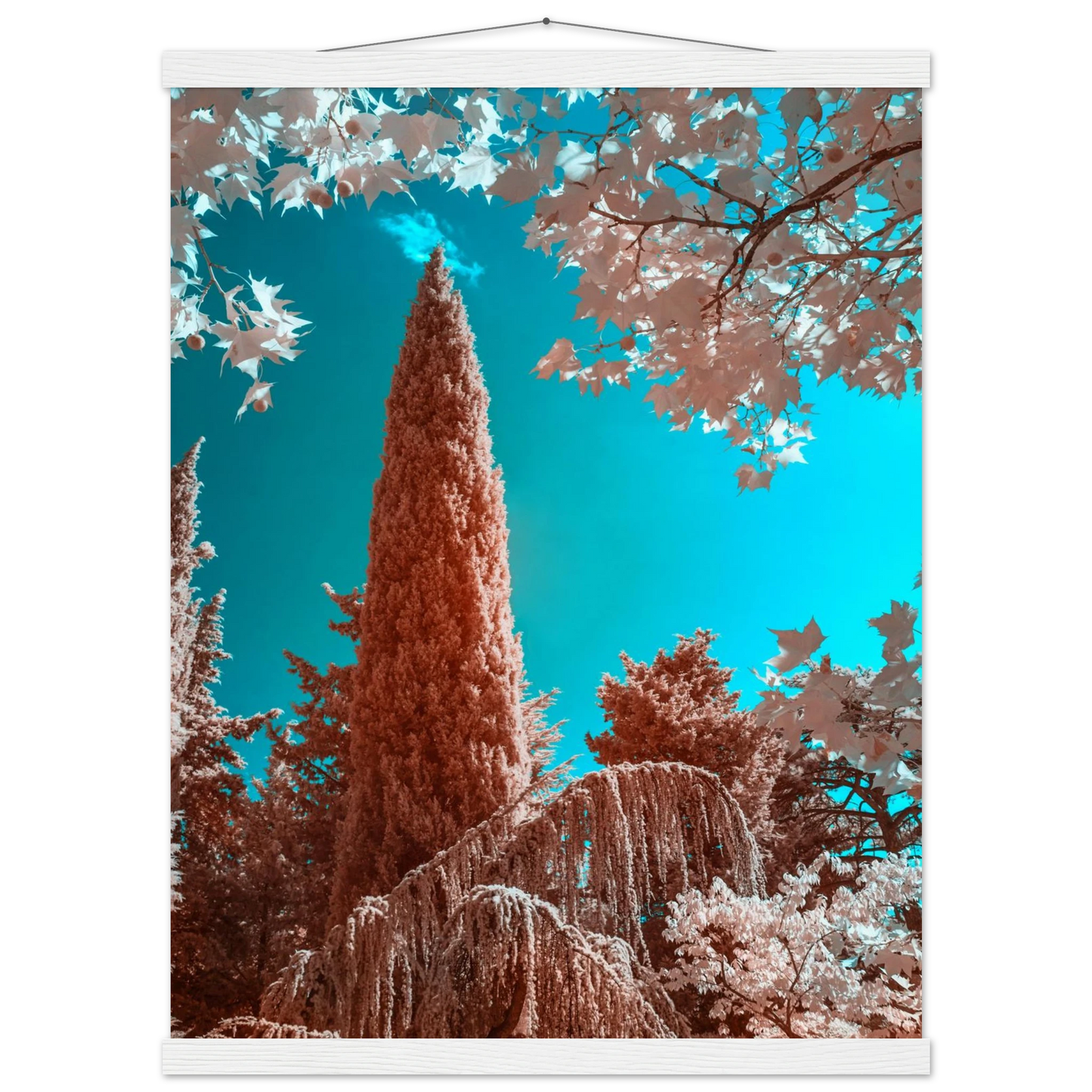 154eb127-0b8c-4cf9-b792-2ef828b4ec57