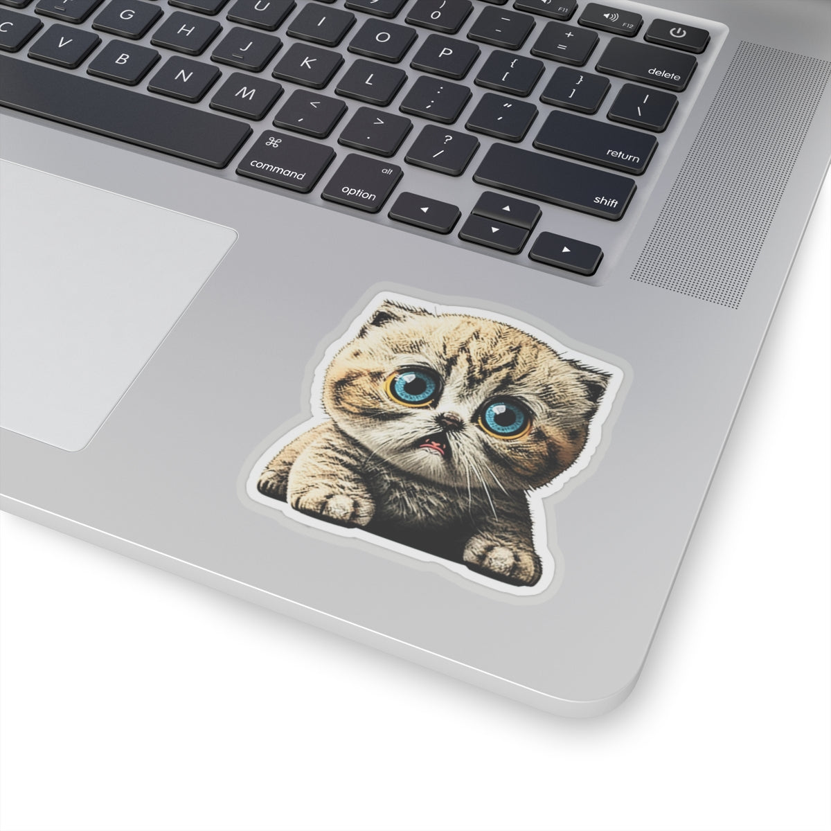 Kiss-Cut Sticker of cute funny cat kitten for your collection