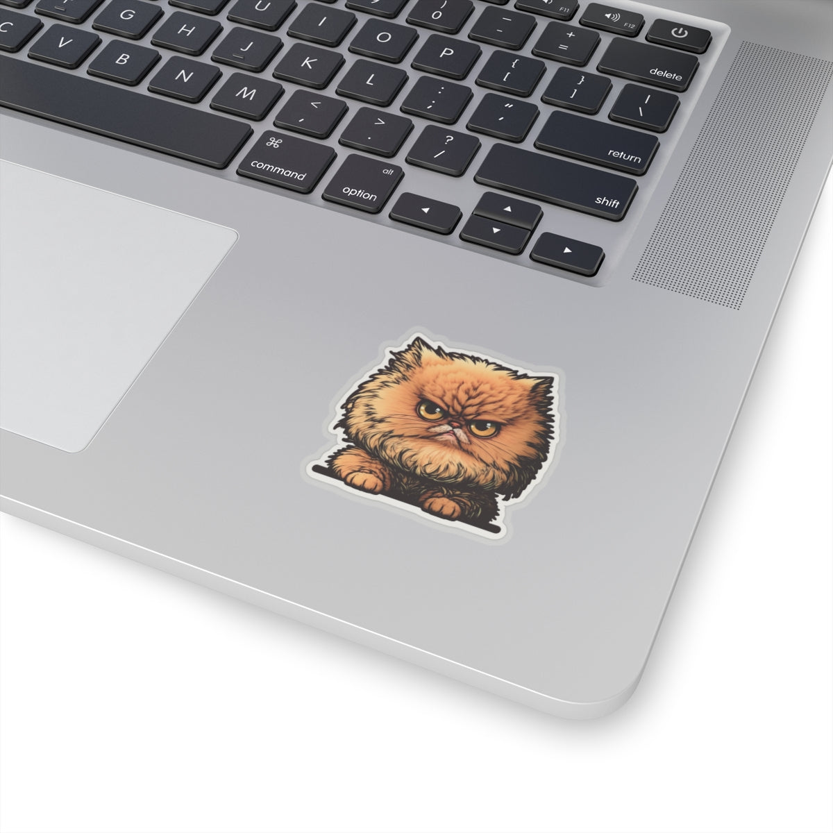 Kiss-Cut Sticker of cute funny angry cat kitten for your collection
