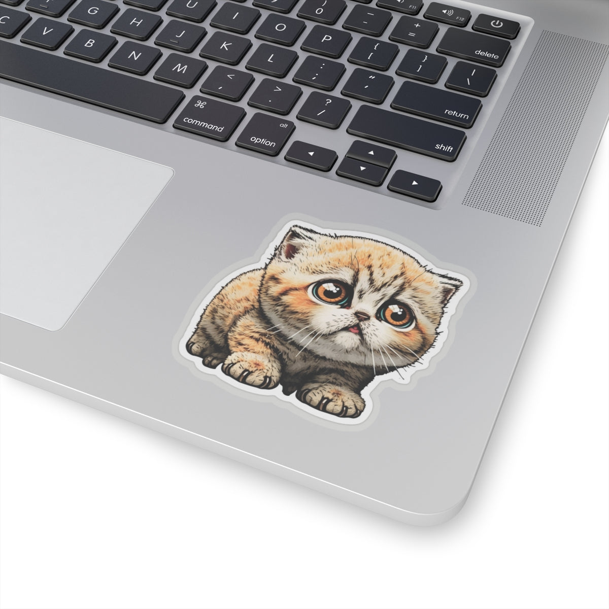 Kiss-Cut Sticker of cute funny cat kitten for your collection