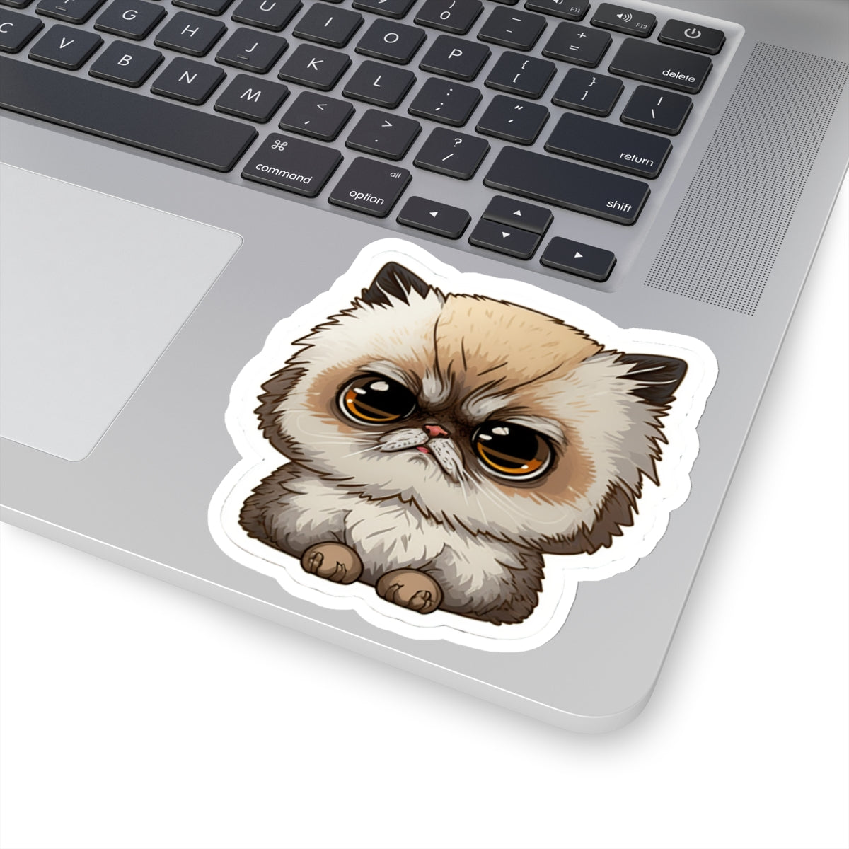 Kiss-Cut Sticker of cute funny cat kitten for your collection