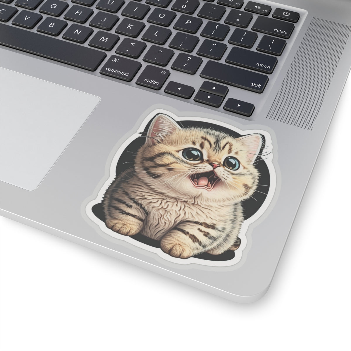 Kiss-Cut Sticker of cute funny burmilla cat kitten for your collection