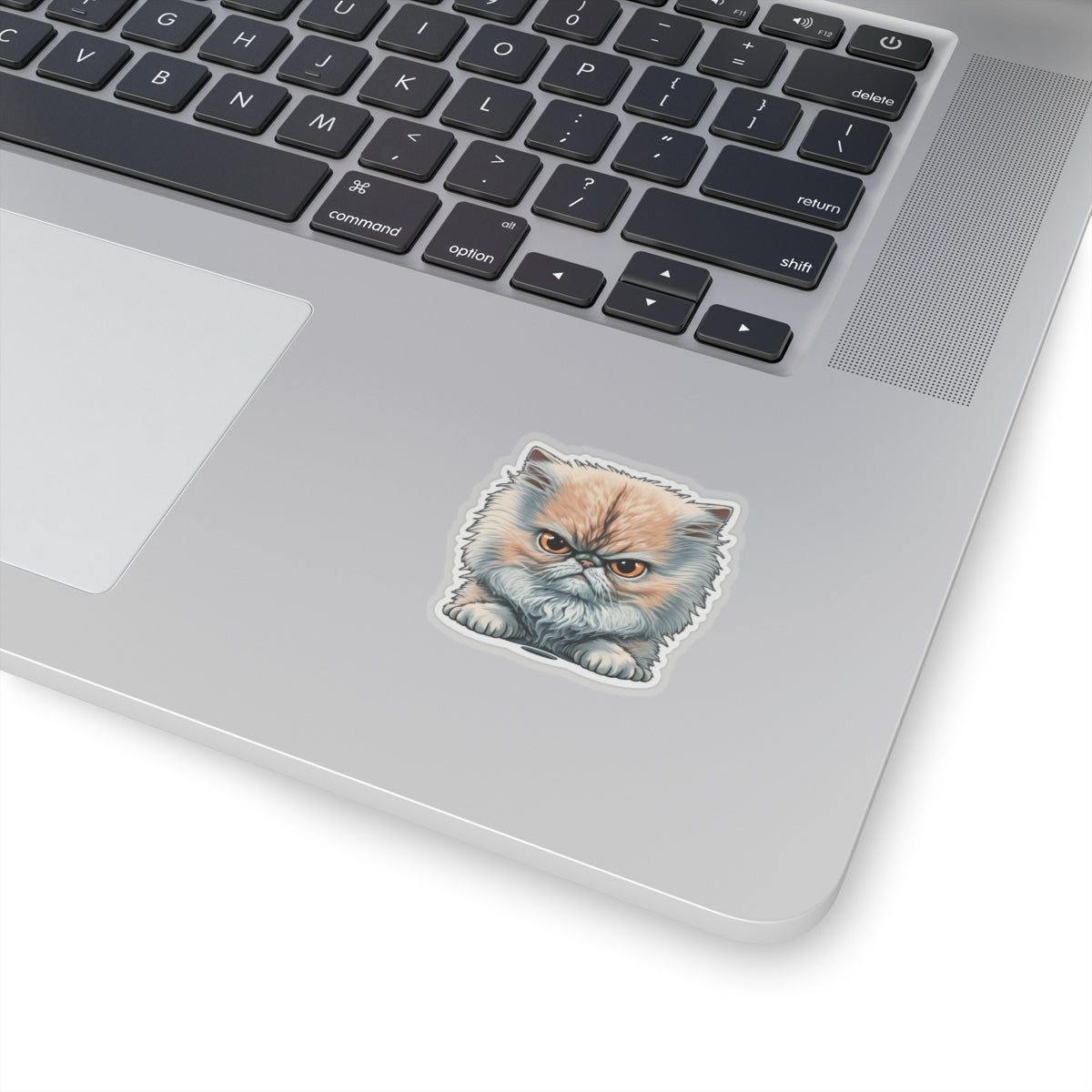 Kiss-Cut Sticker of cute funny angry cat kitten for your collection