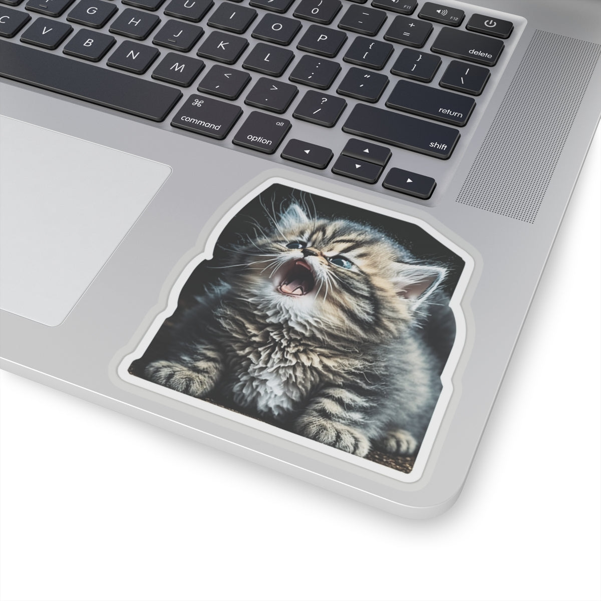 Kiss-Cut Sticker of cute funny siberian cat kitten for your collection