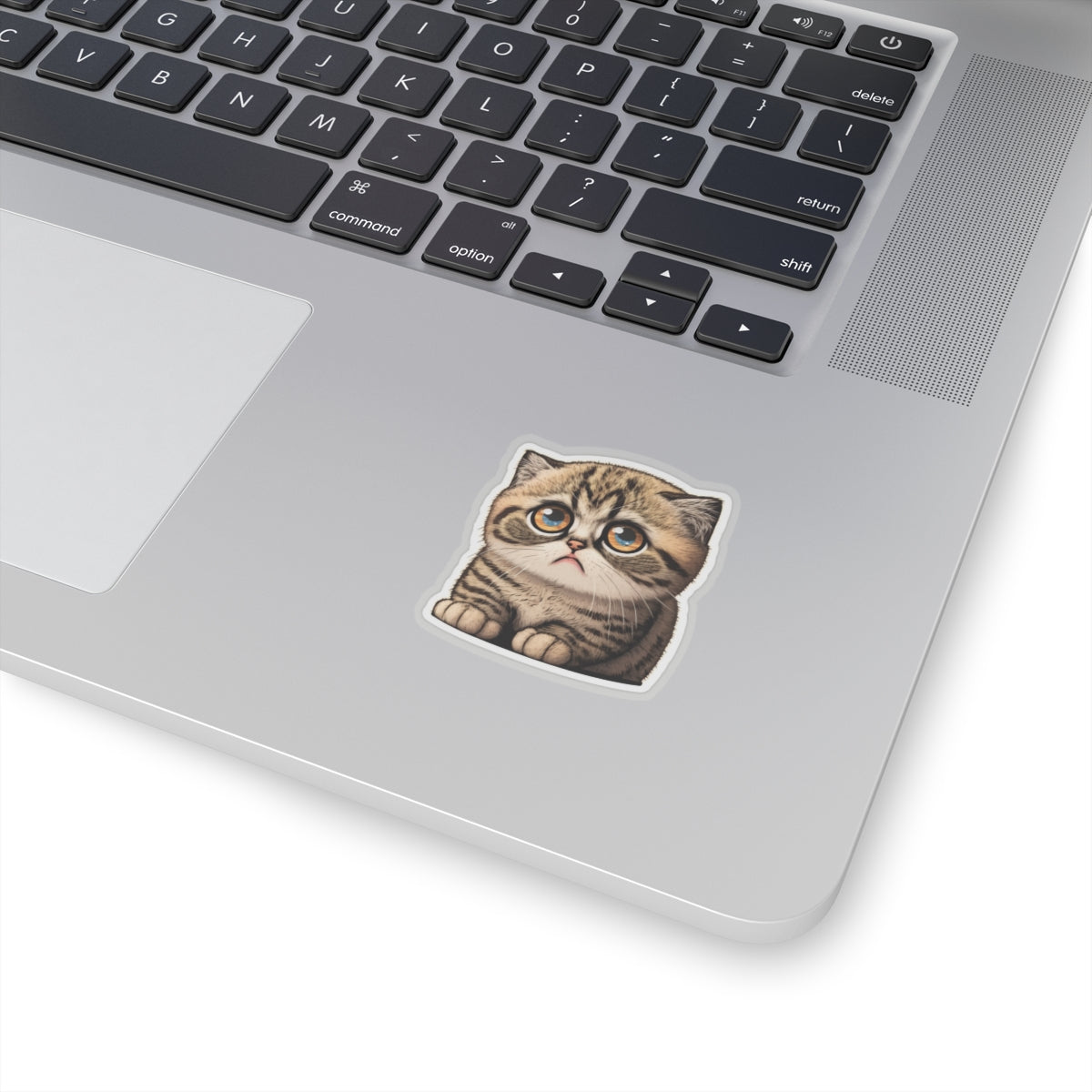 Kiss-Cut Sticker of cute funny cat kitten  for your collection