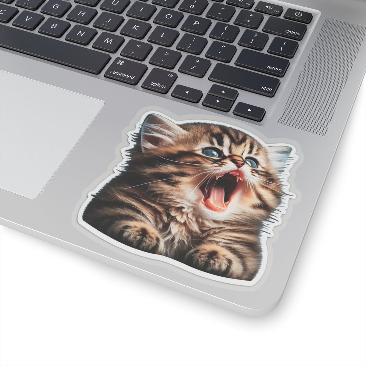 Kiss-Cut Sticker of cute funny golden chinchilla cat kitten for your collection