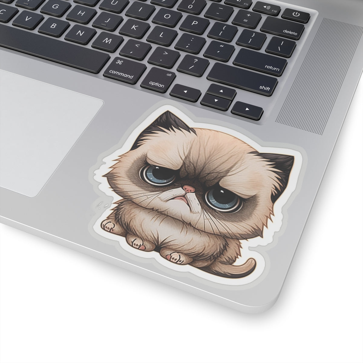 Kiss-Cut Sticker of cute funny cat kitten for your collection