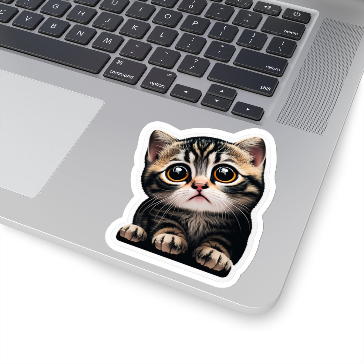 Kiss-Cut Sticker of cute funny cat kitten for your collection