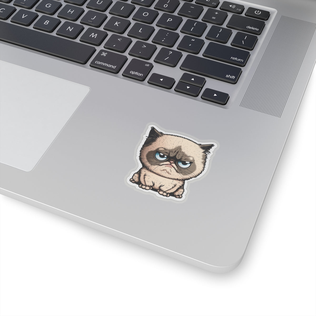 Kiss-Cut Sticker of cute funny cat kitten for your collection