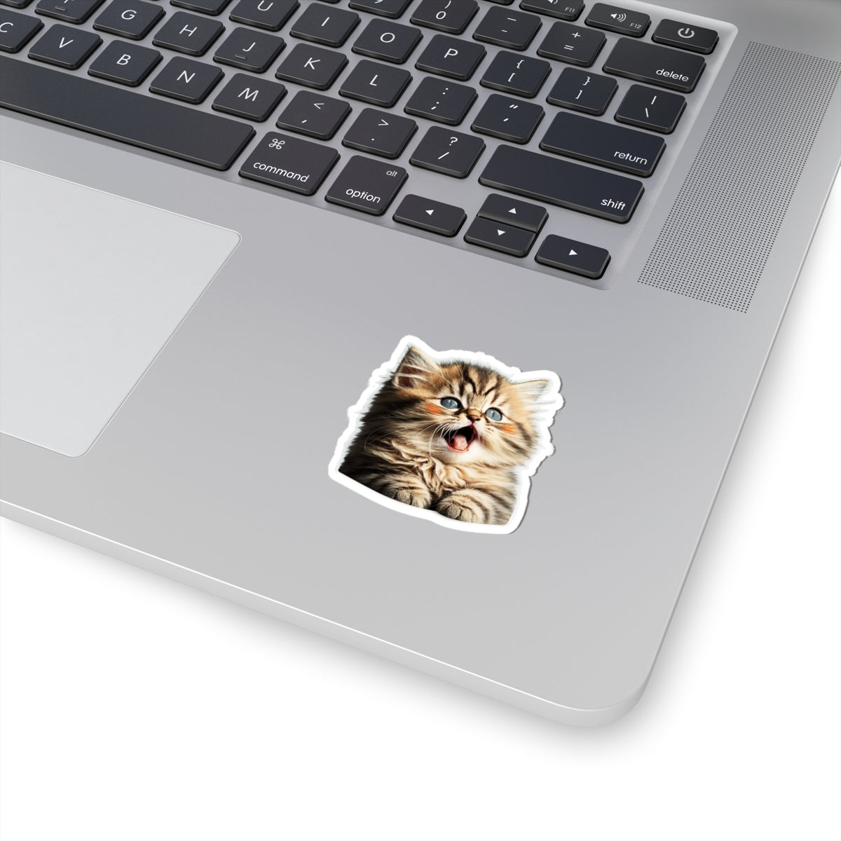 Kiss-Cut Sticker of cute funny golden chinchilla cat kitten for your collection