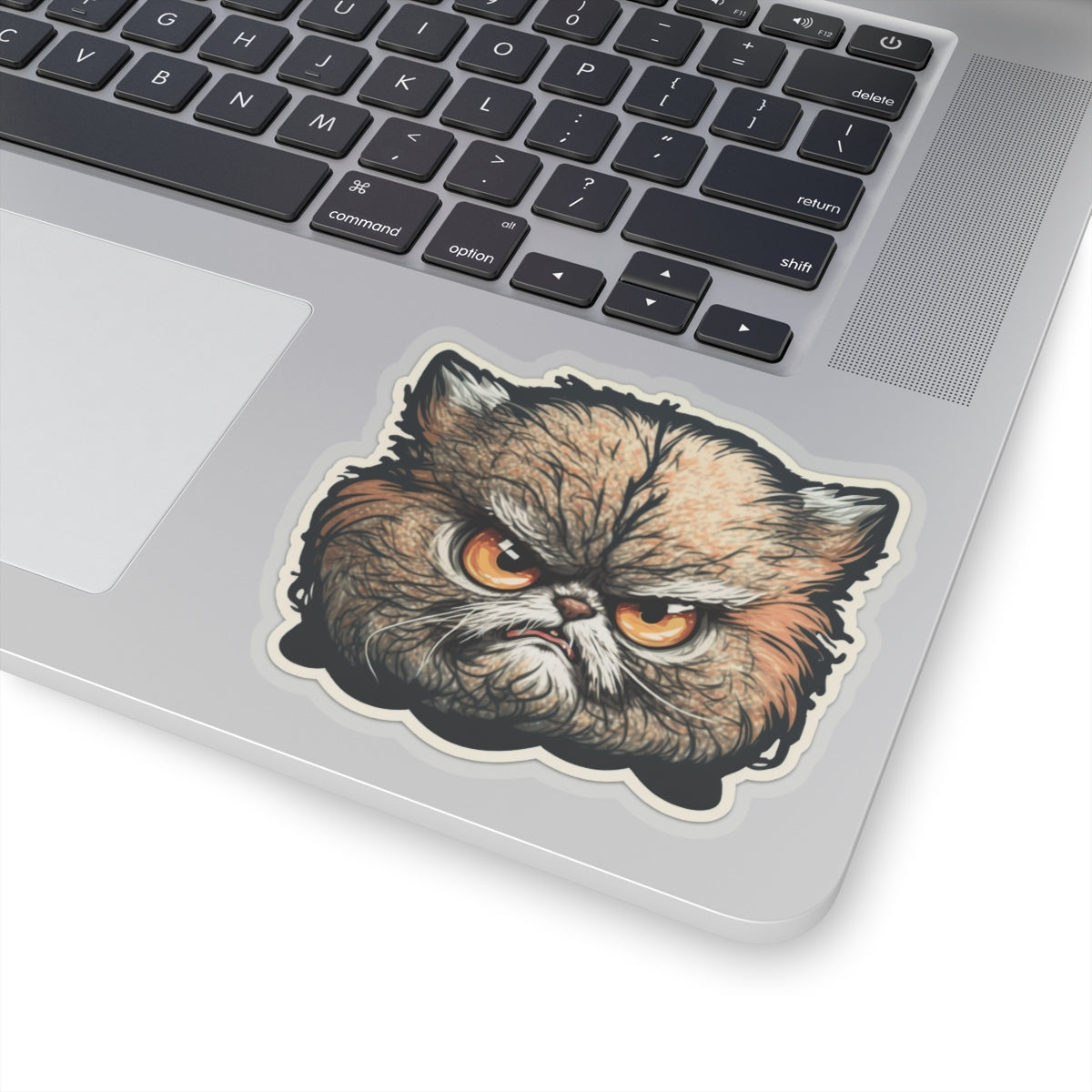 Kiss-Cut Sticker of cute funny angry cat kitten for your collection