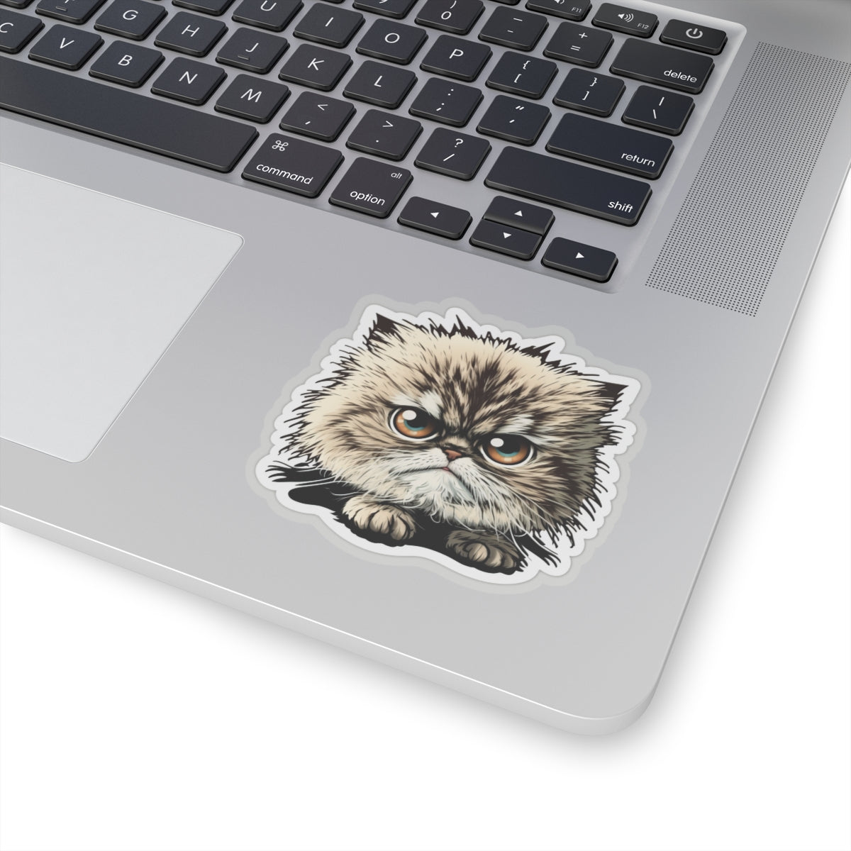 Kiss-Cut Sticker of cute funny cat kitten  for your collection