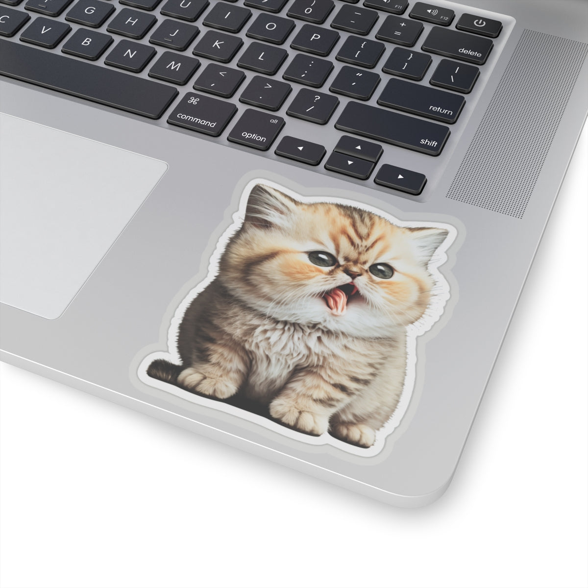 Kiss-Cut Sticker of cute funny golden chinchilla cat kitten for your collection