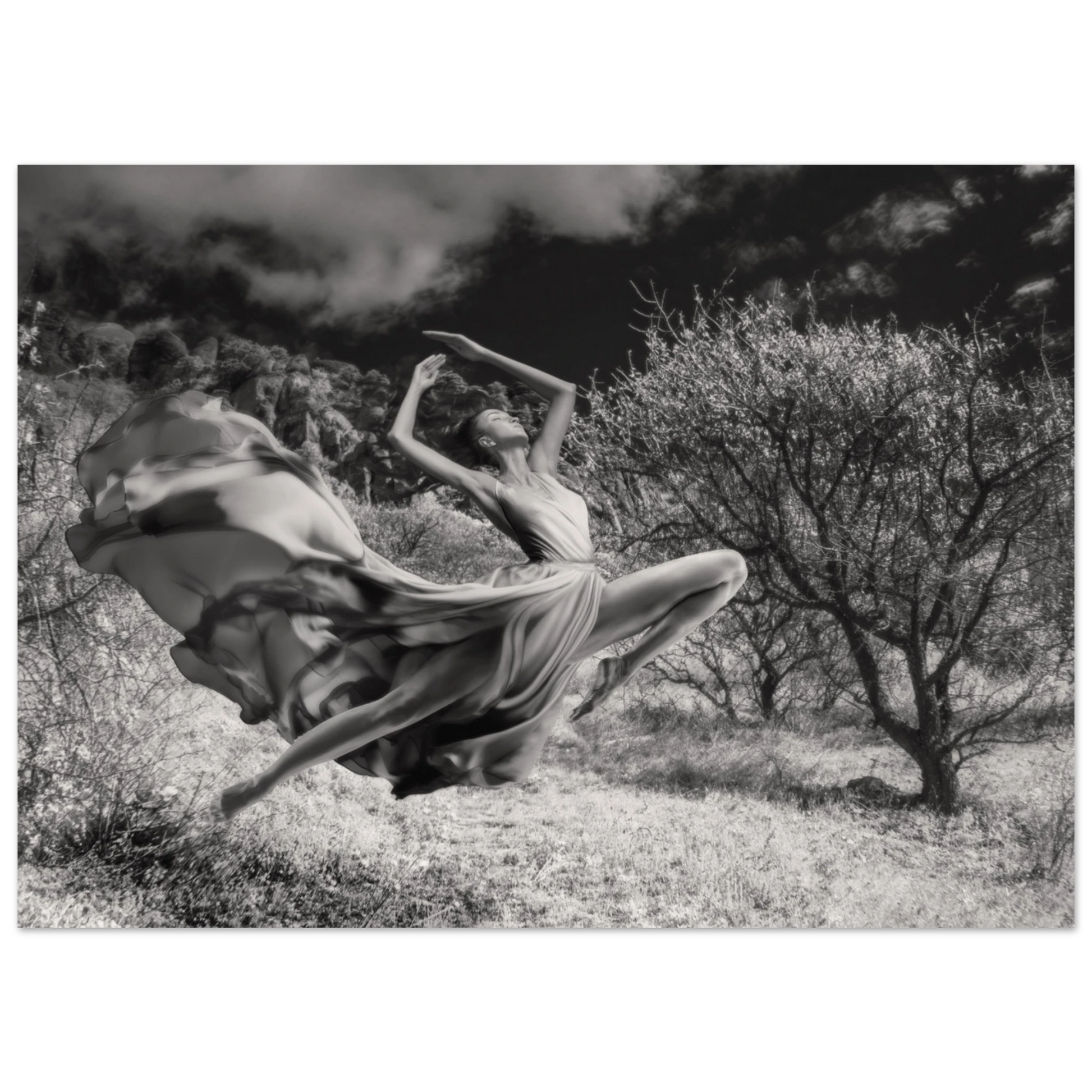 1739ac1d-e398-4b27-b3af-b0f3fb775f22