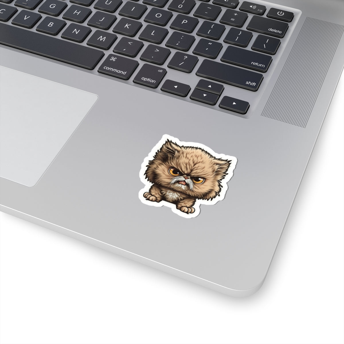 Kiss-Cut Sticker of cute funny angry cat kitten for your collection