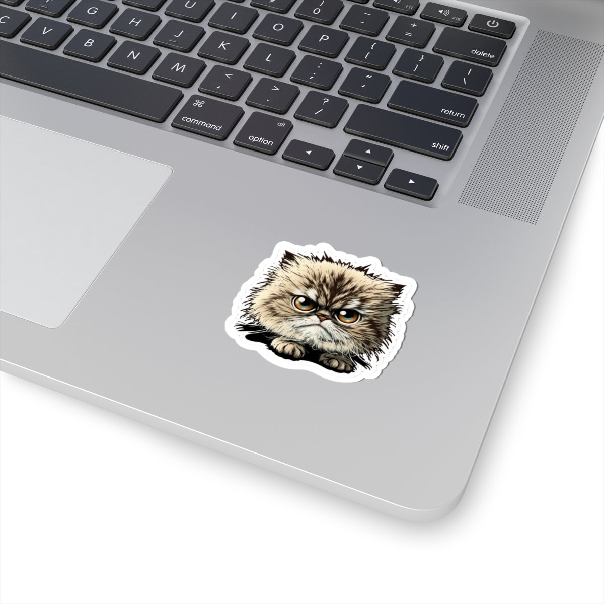 Kiss-Cut Sticker of cute funny cat kitten  for your collection