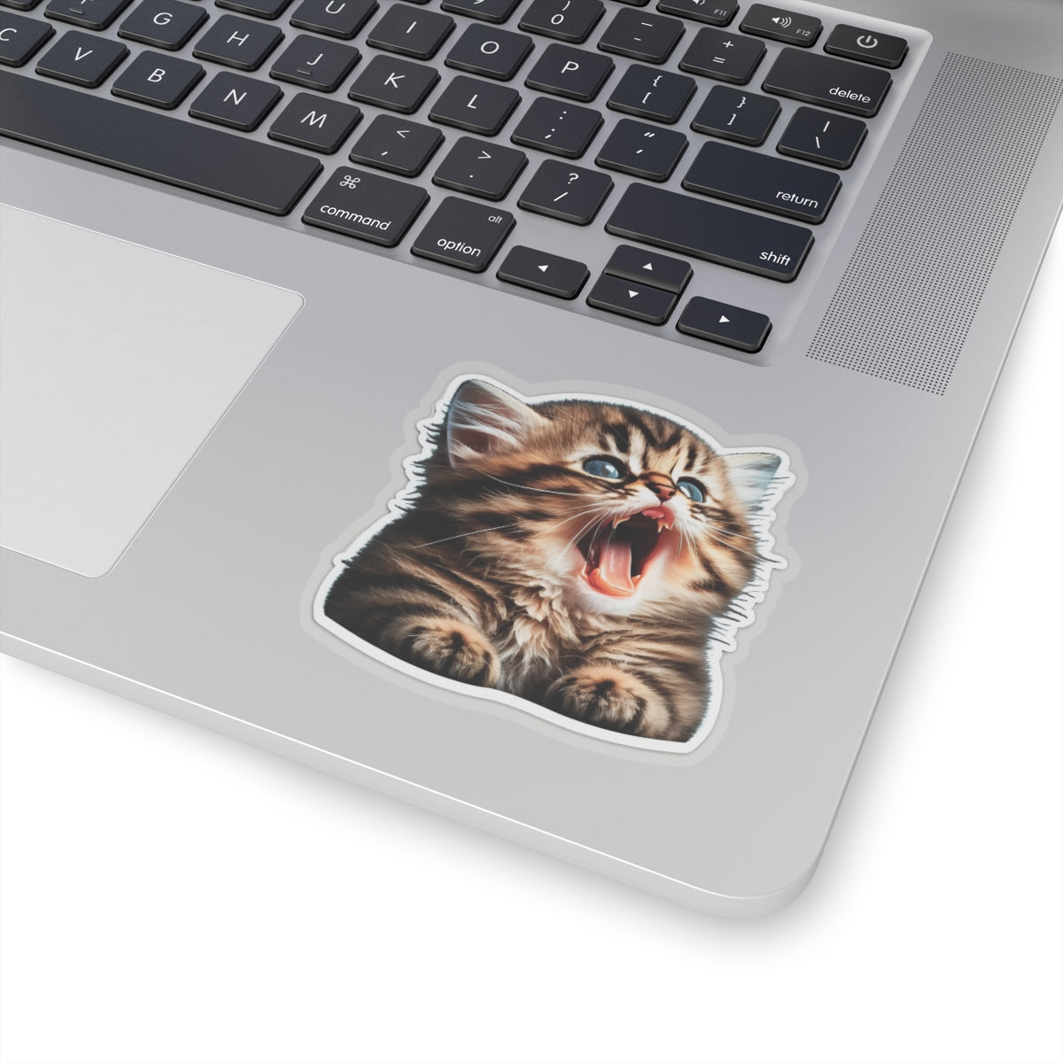Kiss-Cut Sticker of cute funny golden chinchilla cat kitten for your collection
