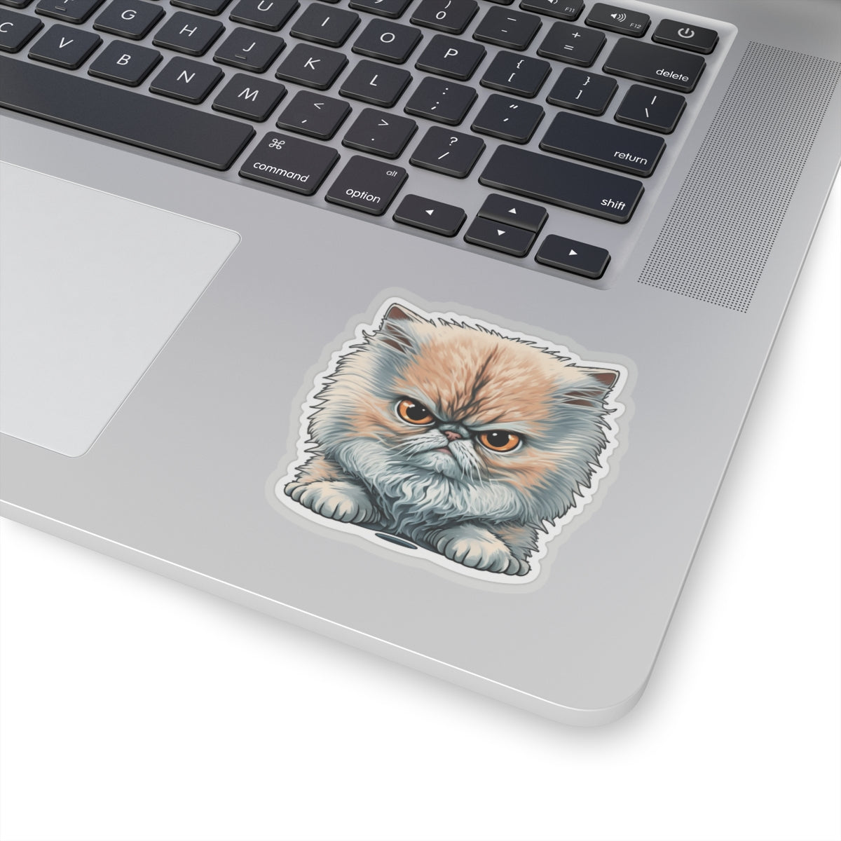 Kiss-Cut Sticker of cute funny angry cat kitten for your collection