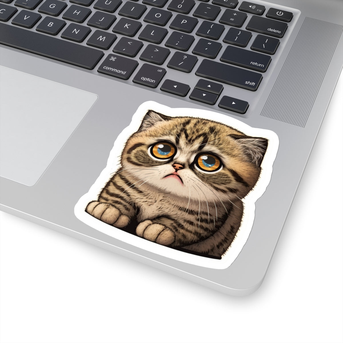 Kiss-Cut Sticker of cute funny cat kitten  for your collection