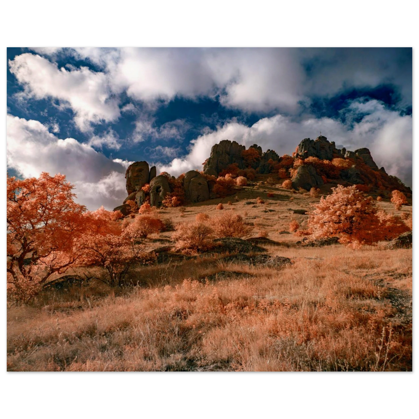 18adfd27-72d5-4a40-aa34-7c17fada9e18