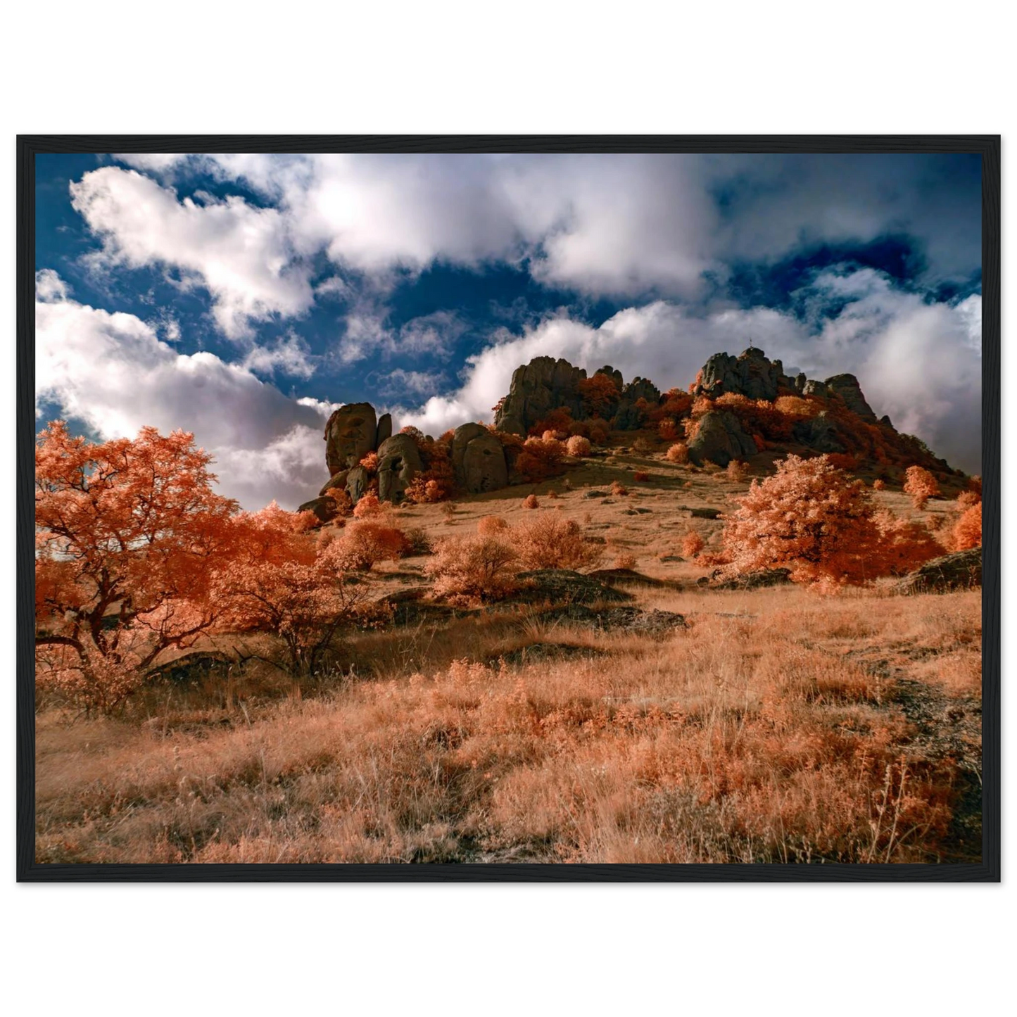 18b11c9c-bf9b-4ca3-bf29-4a8ae40d2ab1