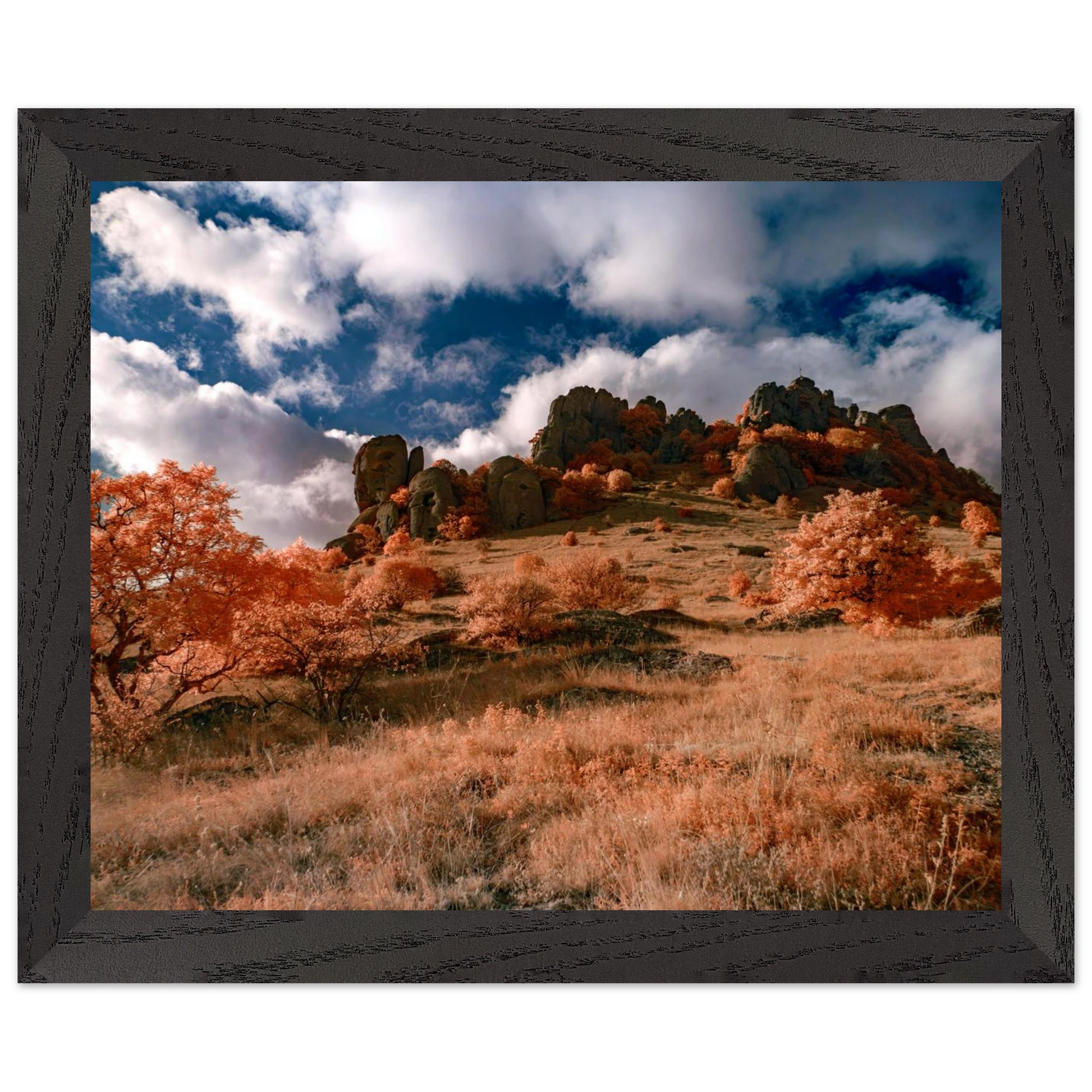 18e4d5e2-2315-4934-bacd-8b614c46a001