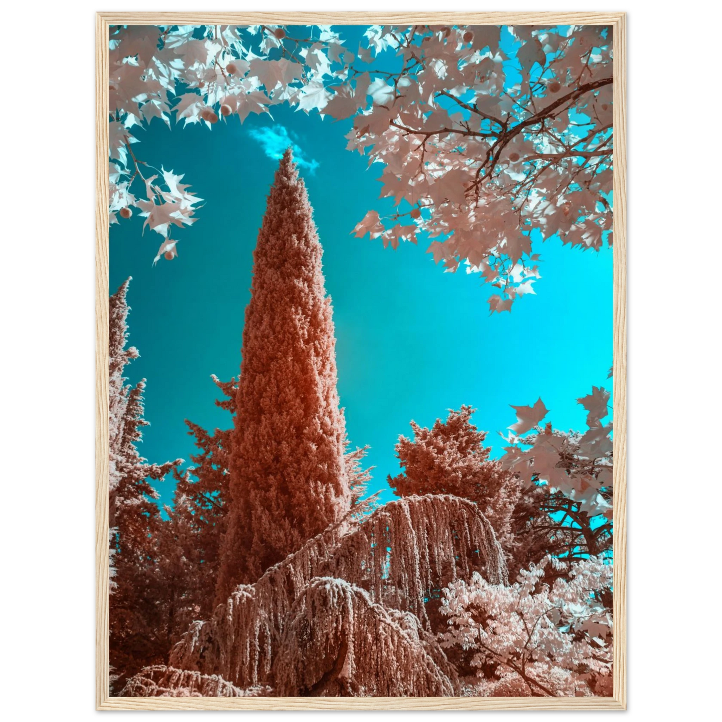 1a286ec3-d09c-4140-9468-5bc7bf7ec1f6