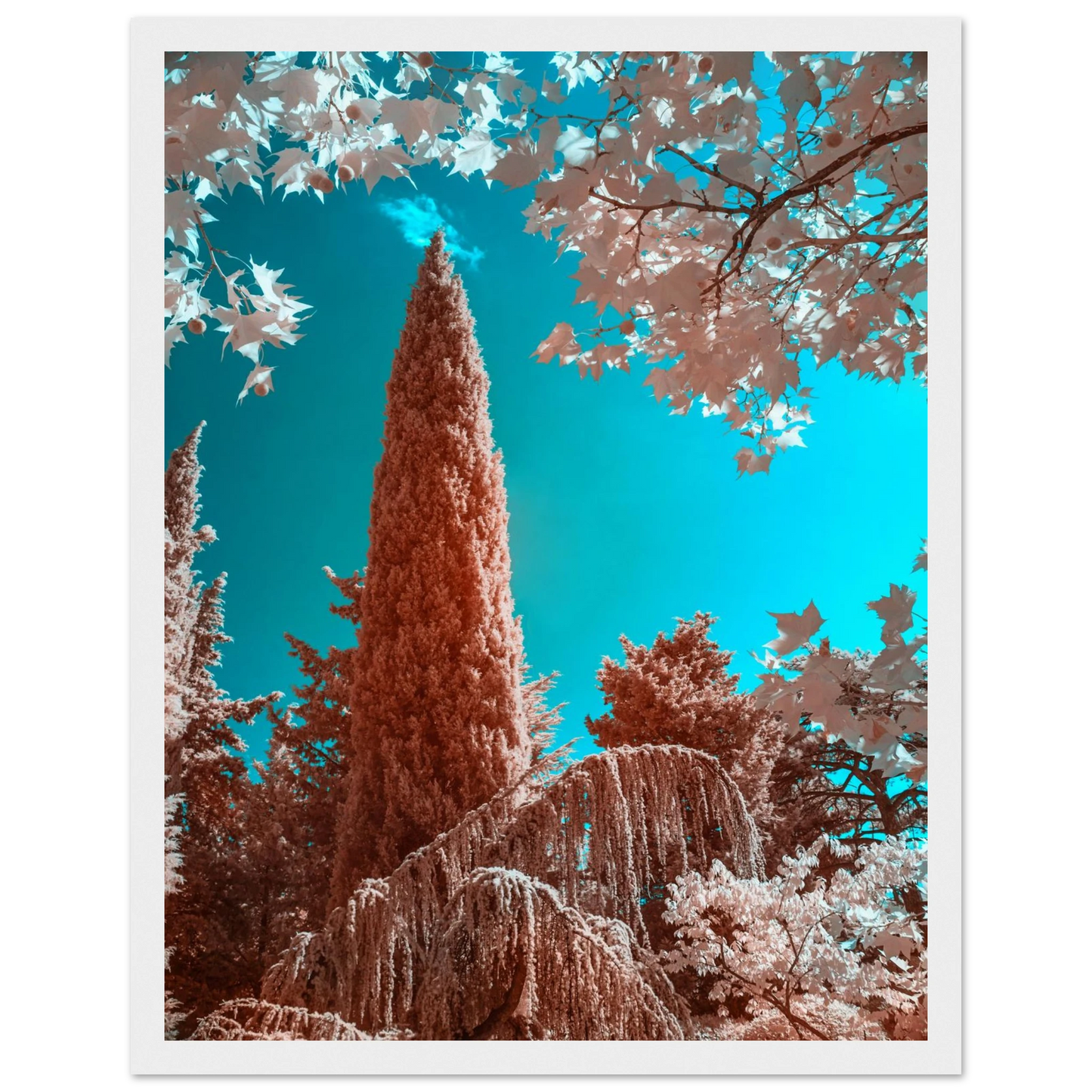 1ad18844-98c4-467b-834f-c8b641957c14