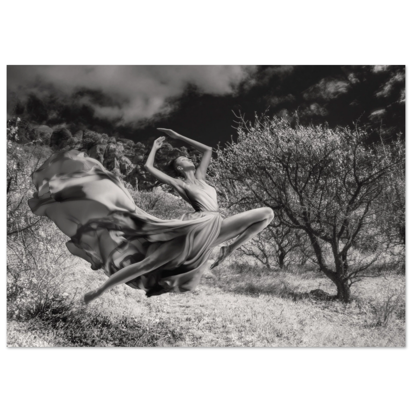 1c9a6ebd-0a1a-41b1-b2b7-fca508fca759