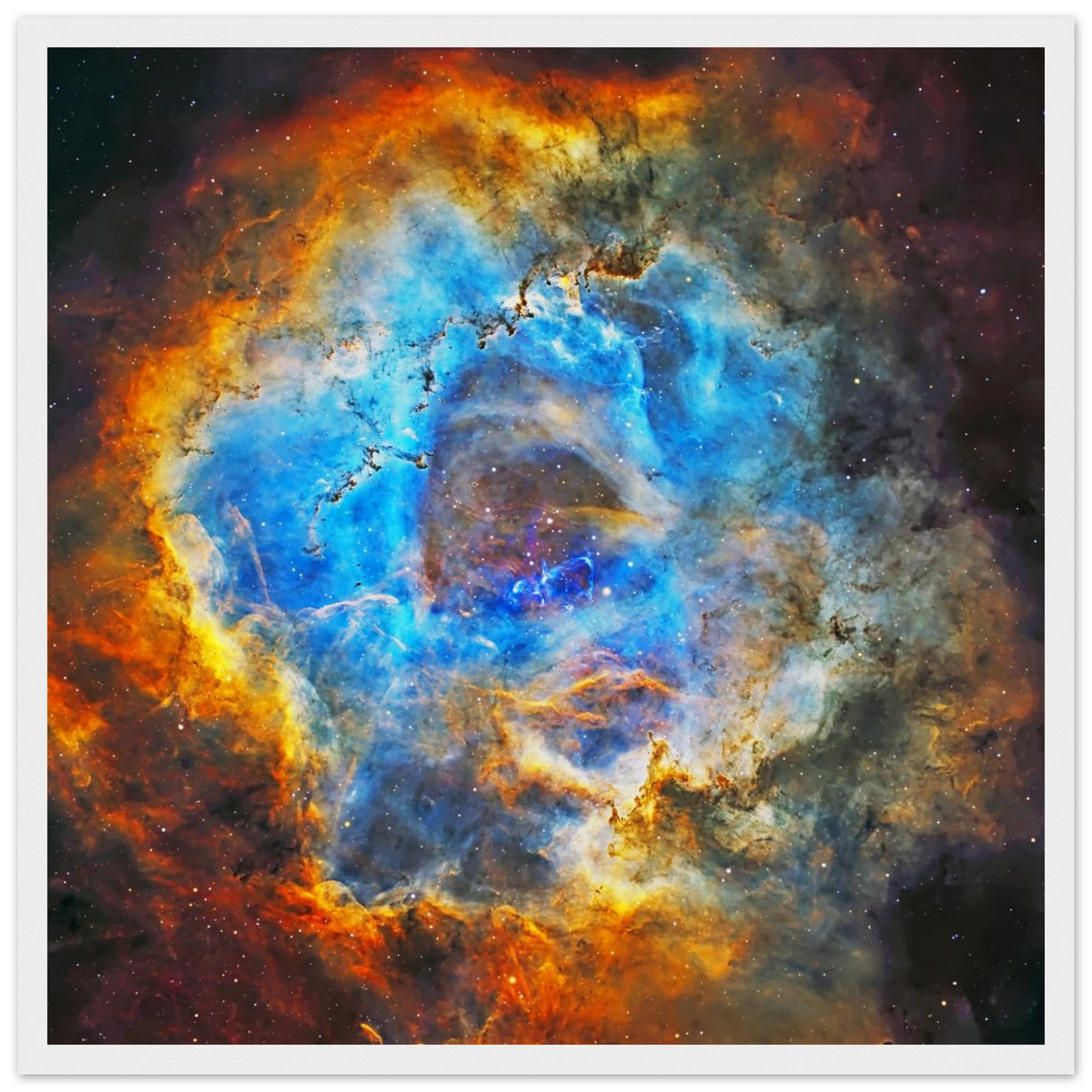 1cbba6c5-9527-4798-a814-67d585b4ab11