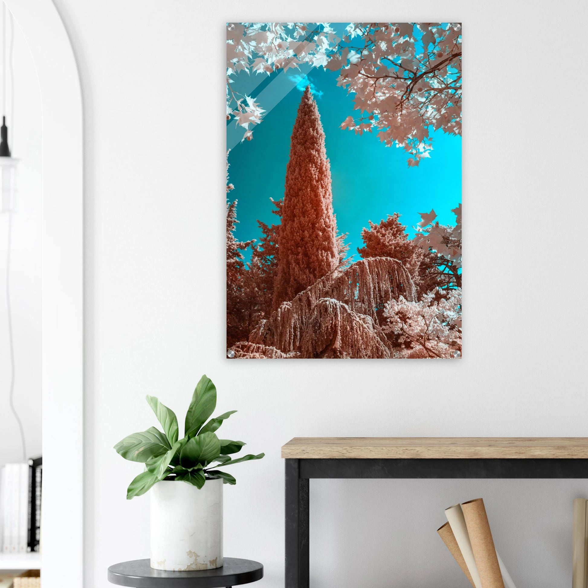 1ce4a166-b39c-4c00-a54c-d3ad2d588b30