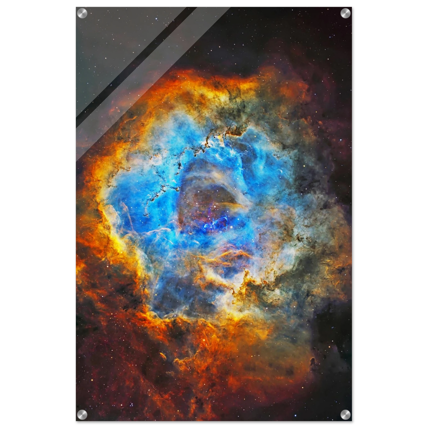 1f447693-61c4-4dae-9ff5-bb162c04e924