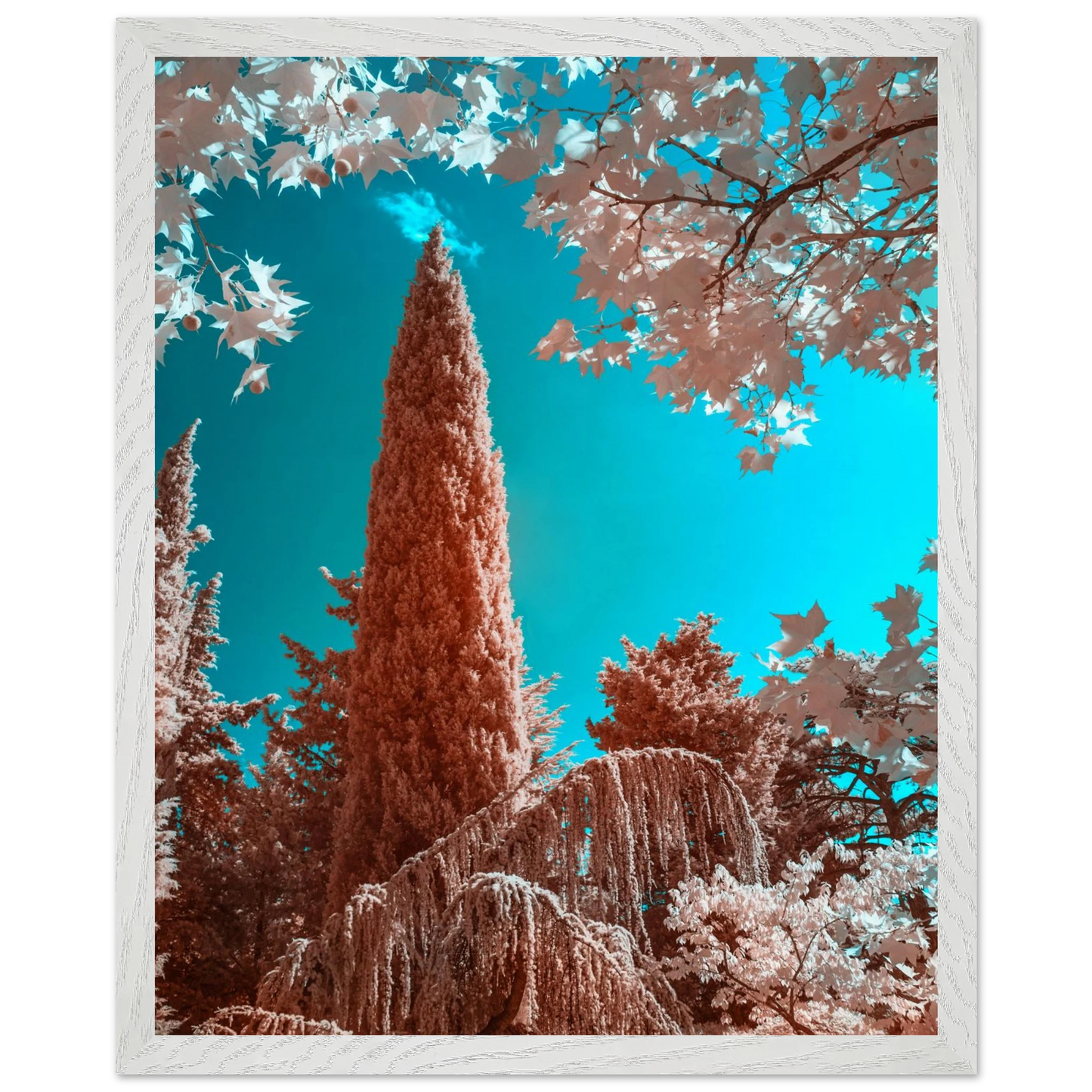 2119c96e-9f6d-4146-879c-8fc5bb3c0314