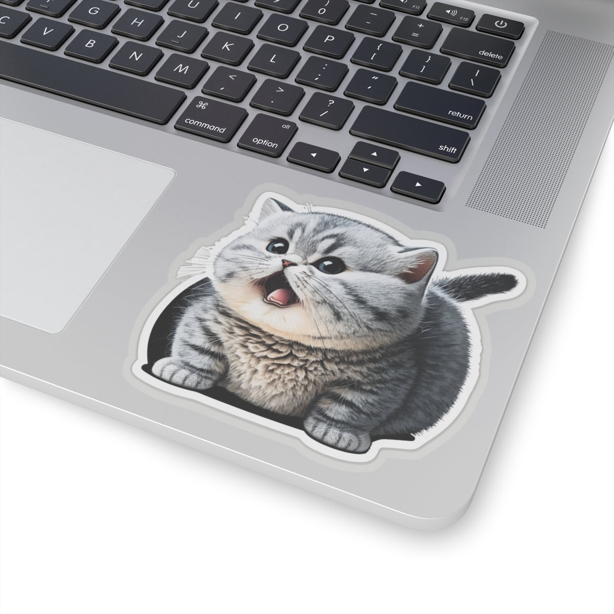 Kiss-Cut Sticker of cute funny burmilla cat kitten for your collection
