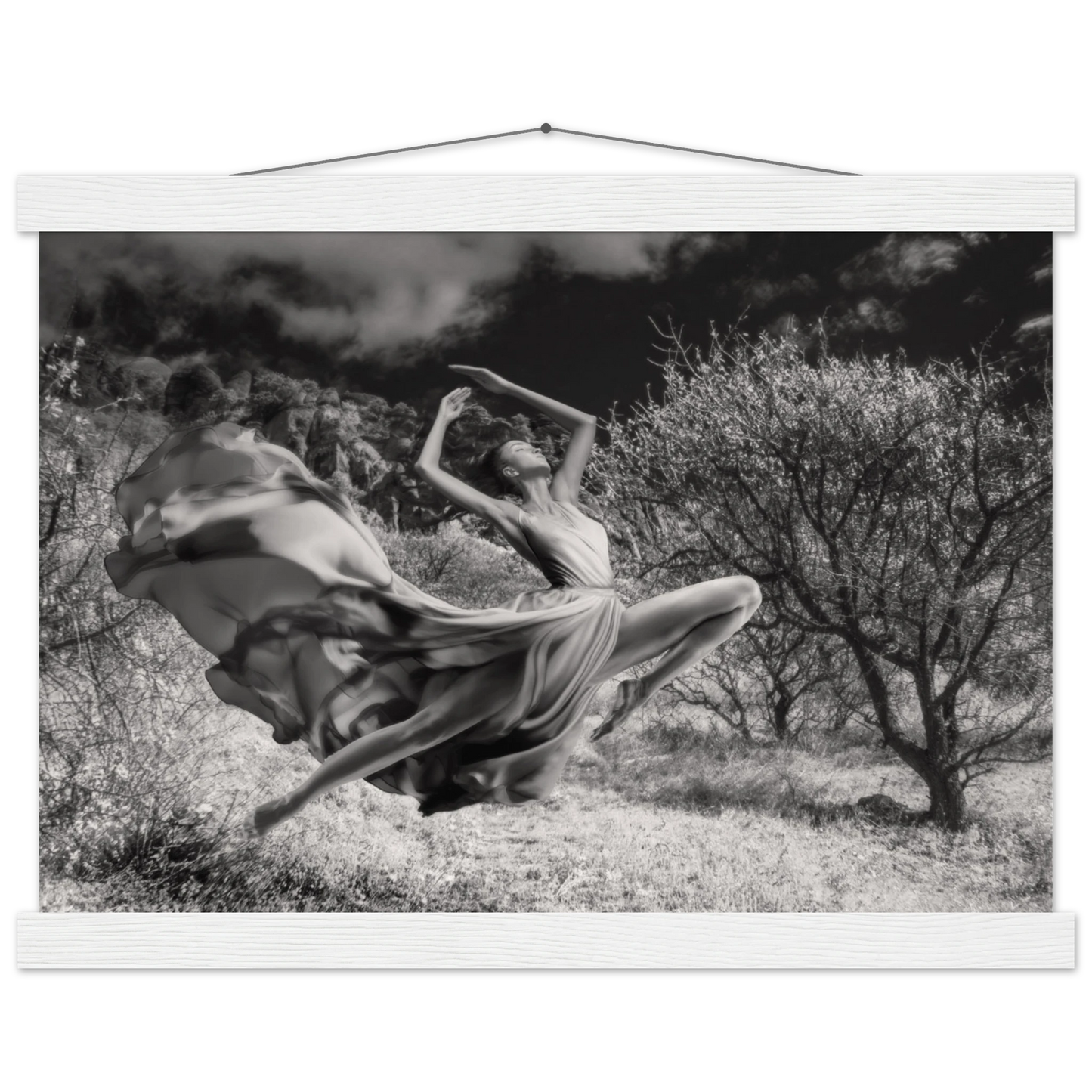 23b5d51e-4699-45fc-b6a5-25da49fcdc2e