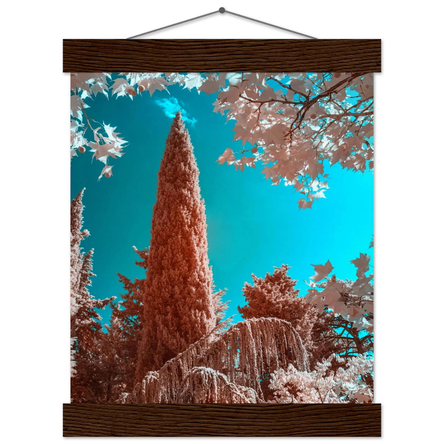 23f84317-5937-48ee-af41-4e4f9c1ebbb0