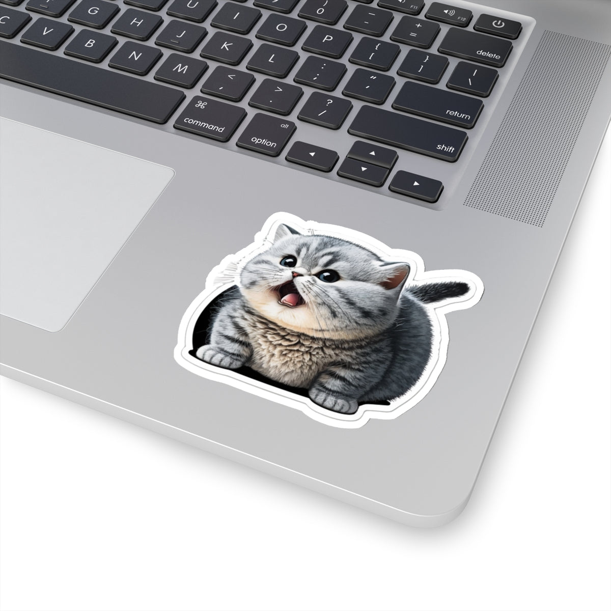 Kiss-Cut Sticker of cute funny burmilla cat kitten for your collection