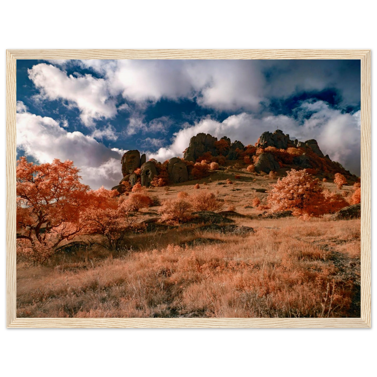 255875a7-66e1-47a9-be91-adb1c32e5a09