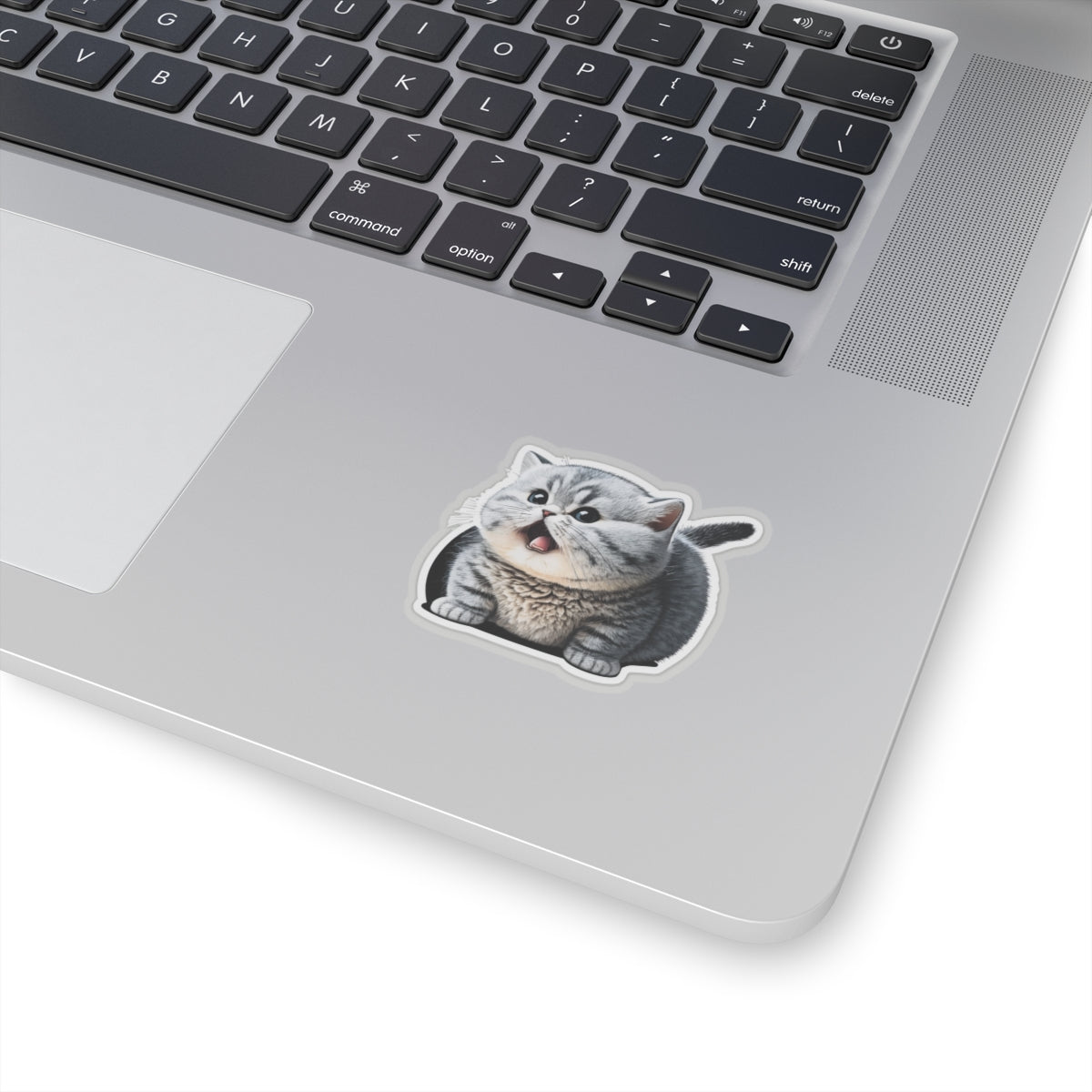 Kiss-Cut Sticker of cute funny burmilla cat kitten for your collection