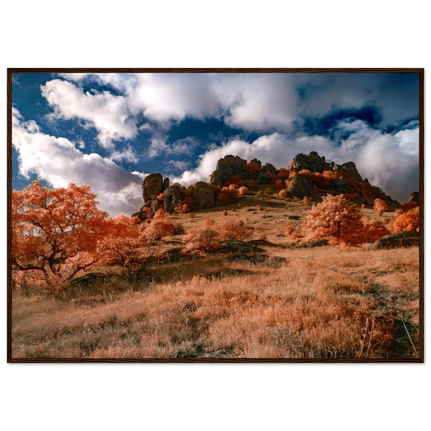 26828343-5590-4c73-84c8-a729a01306c1