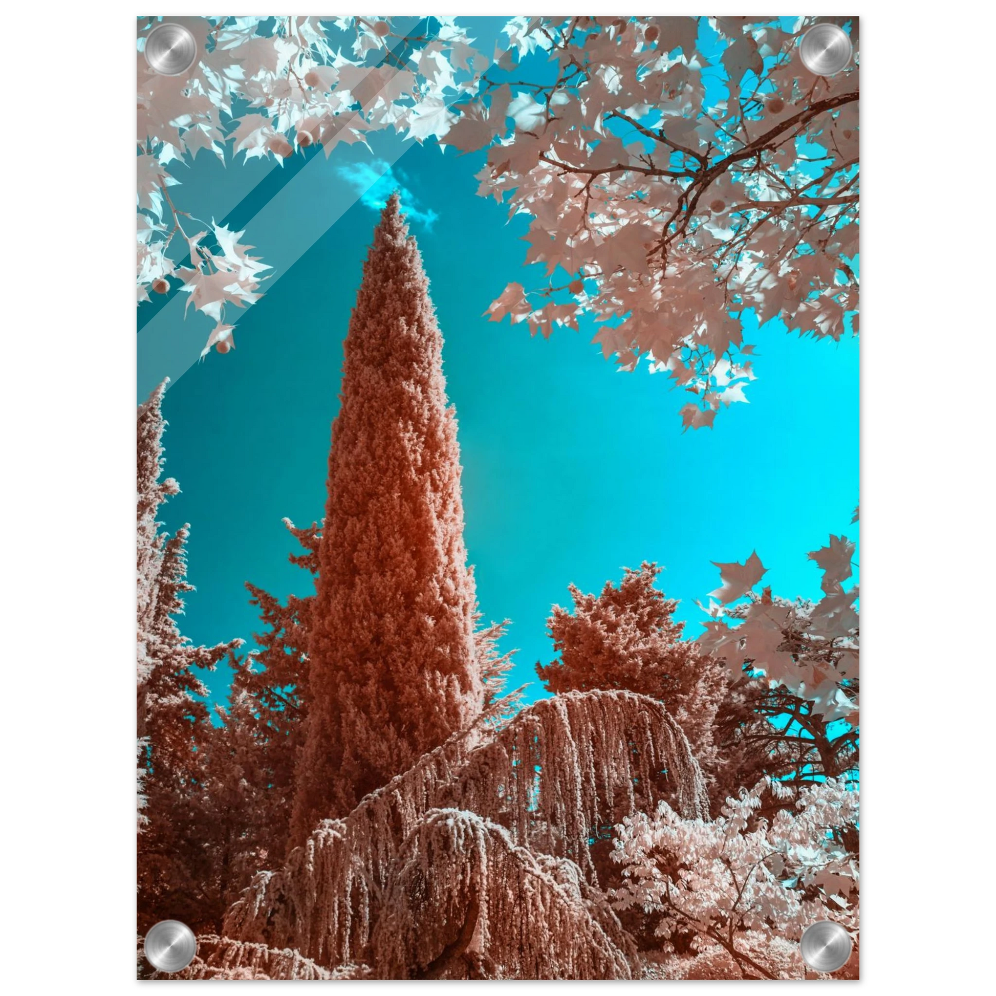 27584a76-85de-44c8-a03e-1b26c78b6197