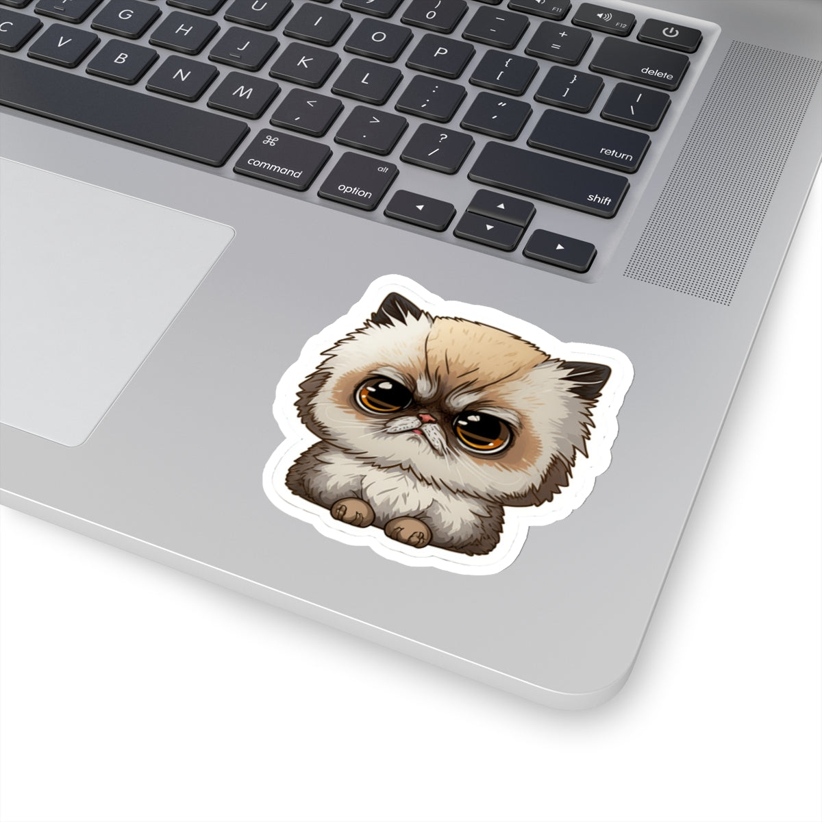 Kiss-Cut Sticker of cute funny cat kitten for your collection