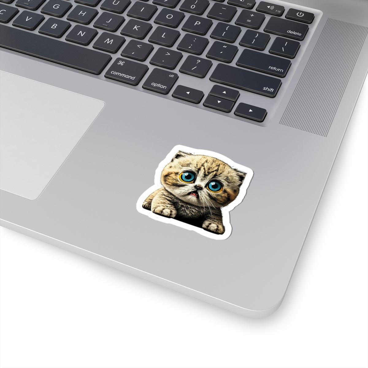 Kiss-Cut Sticker of cute funny cat kitten for your collection